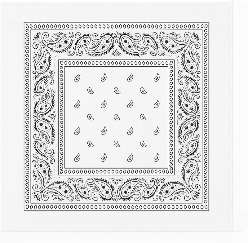 SUNRIBE 3 Pack Paisley Bandanas – 100% Cotton Square 21x21 Head Wrap, Headband, Face Cover, Neck Scarf for Men & Women - Image 1